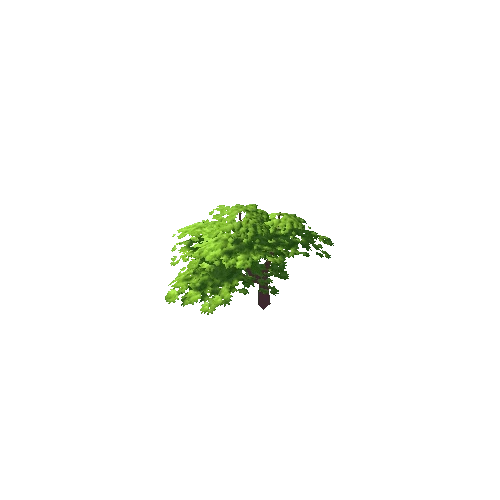 Small Tree Green Default 12